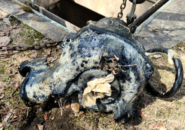 20220404_135548-643x450